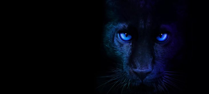Intel teases Core Ultra 3 debut for CES 2026
