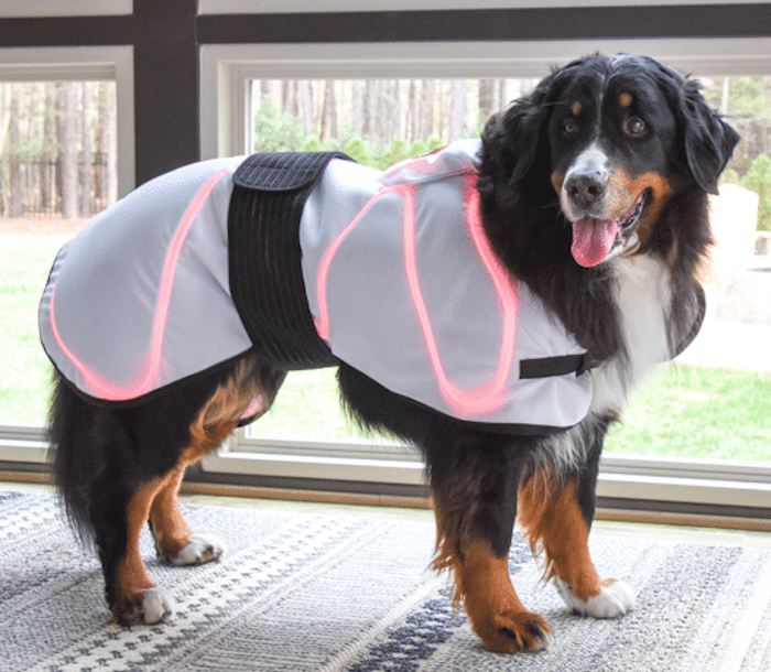 Spectra Therapy LASERwrap Dog Coat System