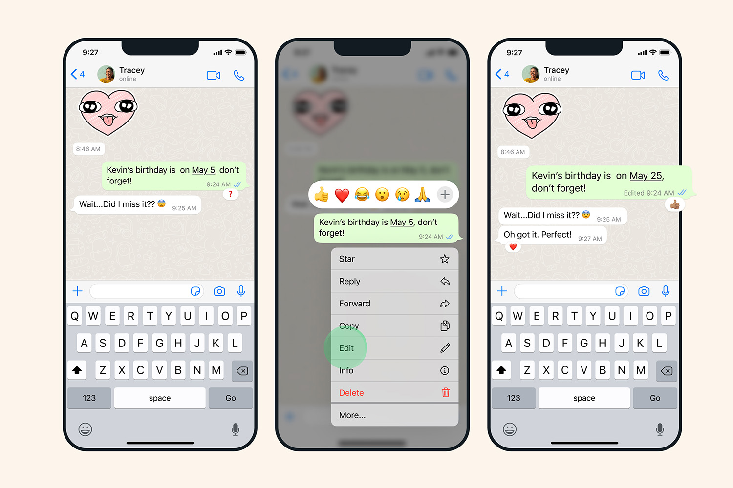 WhatsApp Plus arrives on iPhone – will you pay for it?