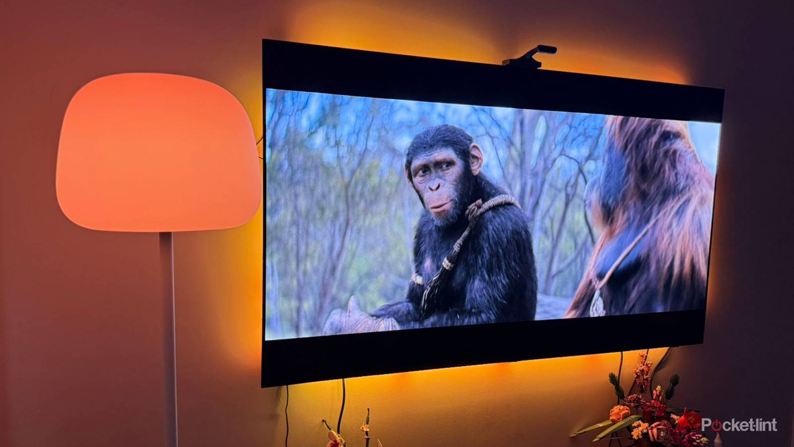 Bad Wi-Fi could be the root of your home theater's issues