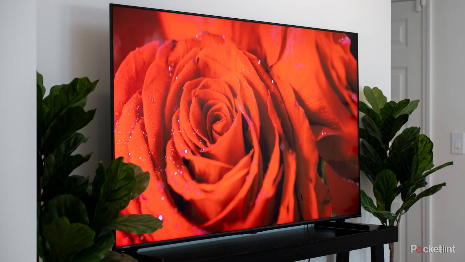 Disabling Wi-Fi on my TV came with some unexpected consequences